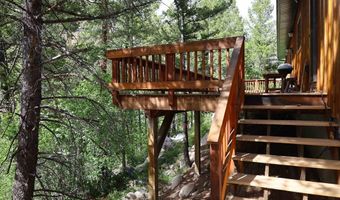 11109 County Road 742, Almont, CO 81210