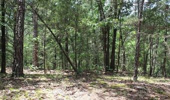 5 E 1909 Rd, Antlers, OK 74523
