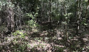 1 Parkers Ferry Rd, Adams Run, SC 29426