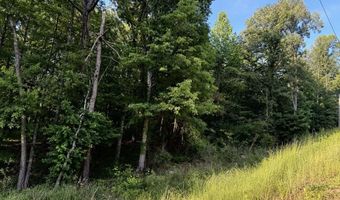 CONSTELLATION AVENUE lot 00, Alpine, AL 35014