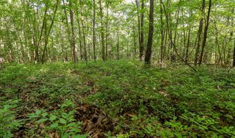 Private Drive Off Of Fr 1245, Aurora, MO 65605