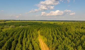 Mann Road, Arabi, GA 31712