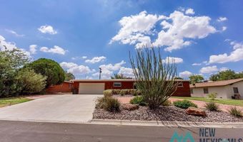 1303 Chico St, Carlsbad, NM 88220