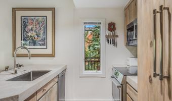 731 S Mill St 3A, Aspen, CO 81611