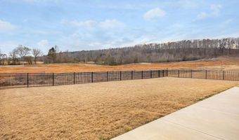 3305 Grassy Fields Ln, Apison, TN 37302