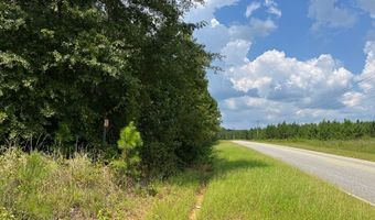 TBD County Road 57, Abbeville, AL 36310