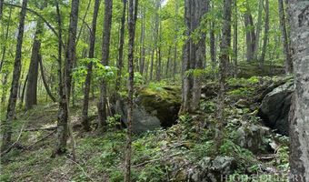 Spice Creek Road, Banner Elk, NC 28604