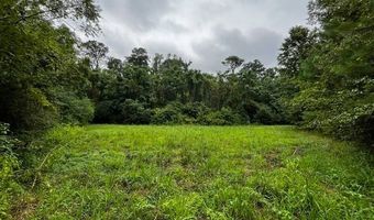 10664 Burton's Ferry Rd, Allendale, SC 29810