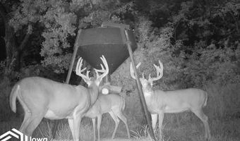 560 Th Ave, Albia, IA 52531