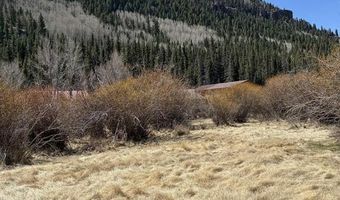 Cottonwood Drive lot 25 & 26, Antonito, CO 81120