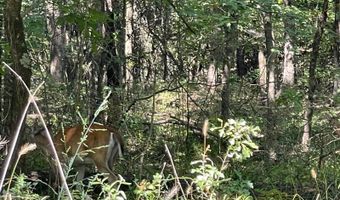 Tract 52 E 1885 Road, Antlers, OK 74523