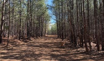 MOUNTAIN CUT RD lot D, Appomattox, VA 24522