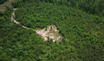 Tucker Road lot 9, Bath Springs, TN 38311