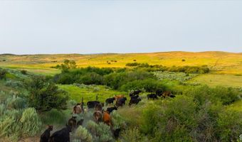 3127 US HWY 95, Cambridge, ID 83610