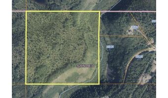 B005 Packsaddle Road, Chickaloon, AK 99674