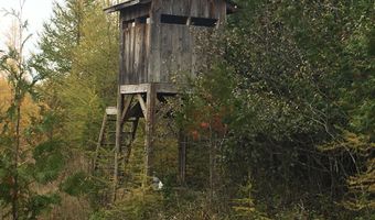 1205 Partridge Point Rd, Alpena, MI 49707
