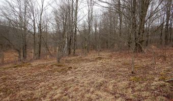 County Route 16, Angelica, NY 14709
