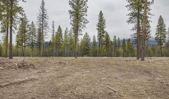 L5 B1 Wallace Lane, Blanchard, ID 83804