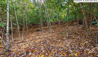 000 Pigeon Roost Rd, Banner Elk, NC 28604