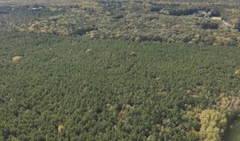 RT 317, Georgetown, DE 19947