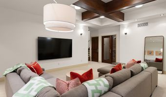 509 W Hopkins Ave, Aspen, CO 81611