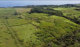 1-3 PRIVATE Rd, Hakalau, HI 96710