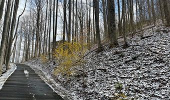 Letties Ln, Balsam, NC 28779