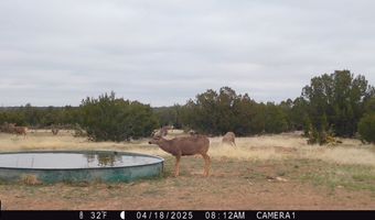 001 CR 40.2, Branson, CO 81027