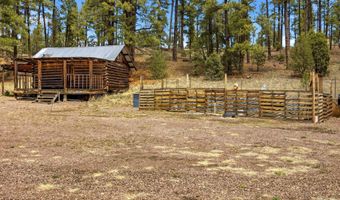 28 County Road 2310, Alpine, AZ 85920