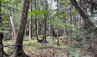 TBD Cable Lake, Amasa, MI 49903