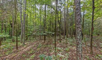 12712 Cranfield Rd, Birchwood, TN 37308