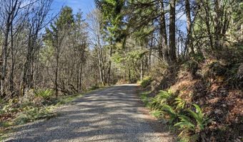NW Green Mountain Rd, Banks, OR 97106