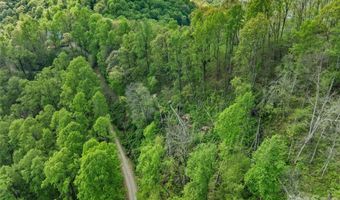 Jacks Knob Road 49, Barnardsville, NC 28709