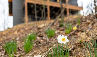 1034 GREENVIEW, Basye, VA 22810