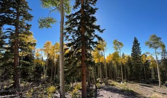377 N Upper Meadow Dr, Beaver, UT 84713