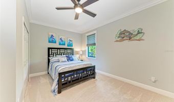 303 COCKLE SHELL Loop, Apollo Beach, FL 33572