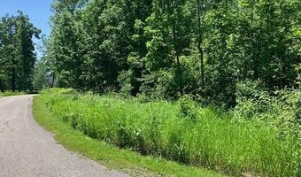 TBD Maple Isle Court Unit 32, 33 & 34, Alanson, MI 49706