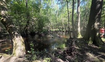 247 Horseshoe Trl, Barnwell, SC 29812