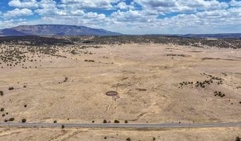 New Mexico 246, Capitan, NM 88316