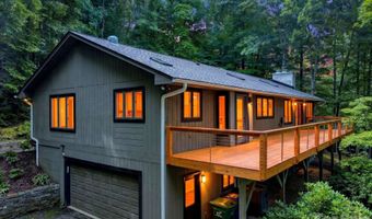 12 Beech Tree Ln, Asheville, NC 28804