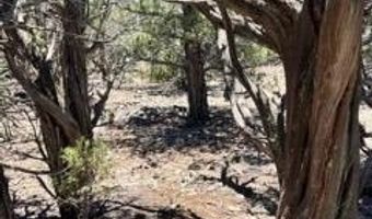918 Wolf Rd, Ash Fork, AZ 86320