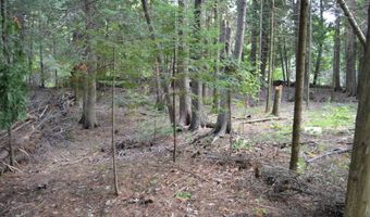 5010 Wessel Rd, Alpena, MI 49707