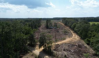 SE Cole Drive, Bogue Chitto, MS 39629