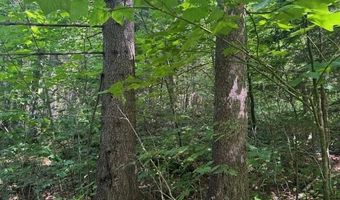 639 Horace Way Rd, Albany, VT 05820