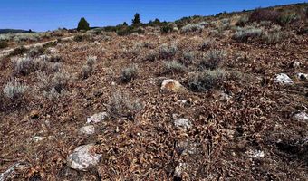 29 Northern Lights Rd, Bancroft, ID 83217