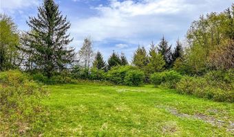 State Route 28 lot # 10, Andes, NY 13731