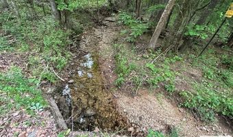 DOHERTY STORE RD, Big Sandy, TN 38221