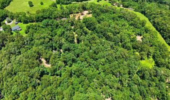 989 Schlessman Rd, Anderson, MO 64831