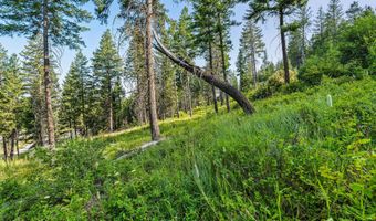 24 Bridle Ct, Bigfork, MT 59911