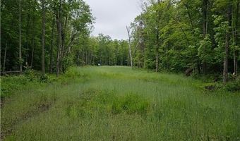 0000 280th Pl, Aitkin, MN 56431